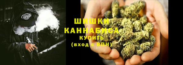 дмт Горнозаводск