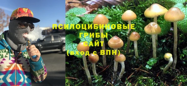 СК Горно-Алтайск