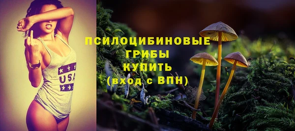 соль ск Гусев