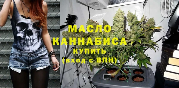 дмт Горнозаводск
